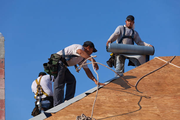 Best Roof Repair Services  in Little Round Lake, WI